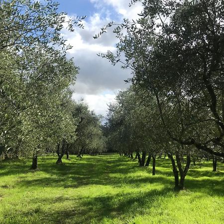 Agriturismo Podere I' Caldino Troghi Luaran gambar