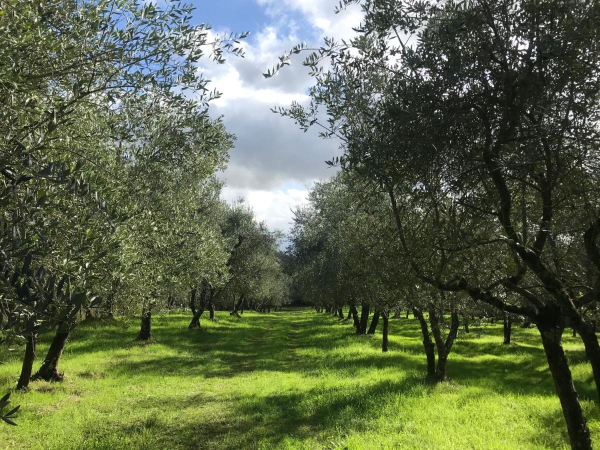 Agriturismo Podere I' Caldino Troghi Luaran gambar