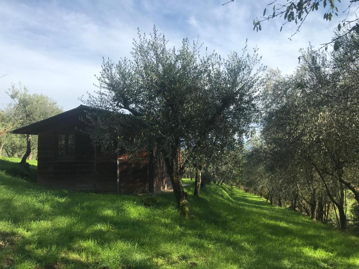 Agriturismo Podere I' Caldino Troghi Luaran gambar